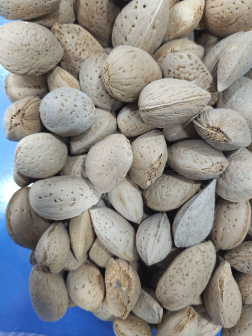 Katha Badaam (Desi) 1kg