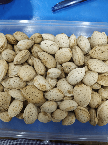Gola Badaam 1 Kg